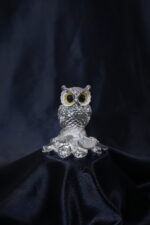 Lakshmi coined Owl | 999 pure silver coating - Image 5