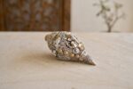 Ganesha Sankh | 999 pure silver coated
