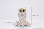 Lakshmi coined Owl | 999 pure silver coating - Image 3
