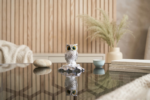 Lakshmi coined Owl | 999 pure silver coating